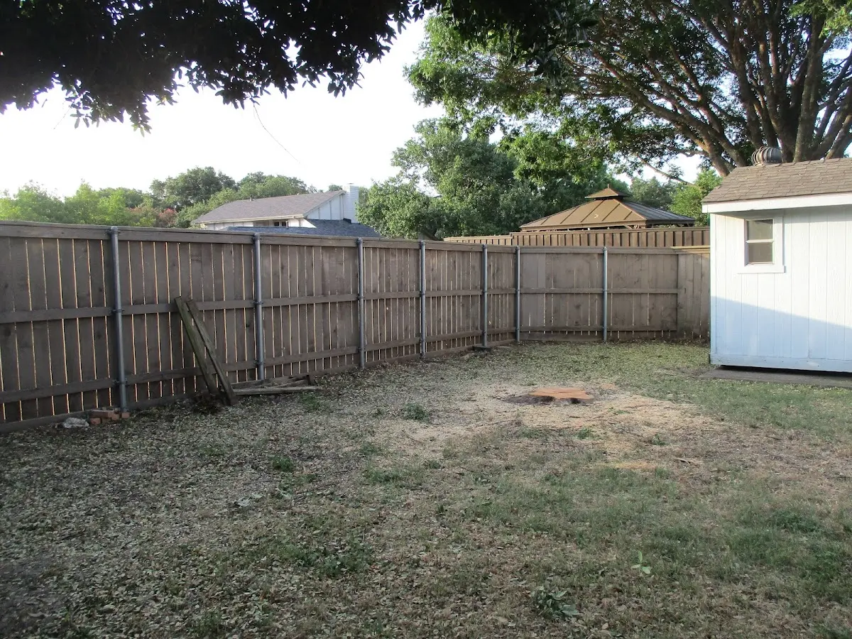 Cleared yard after professional tree removal in Hindman