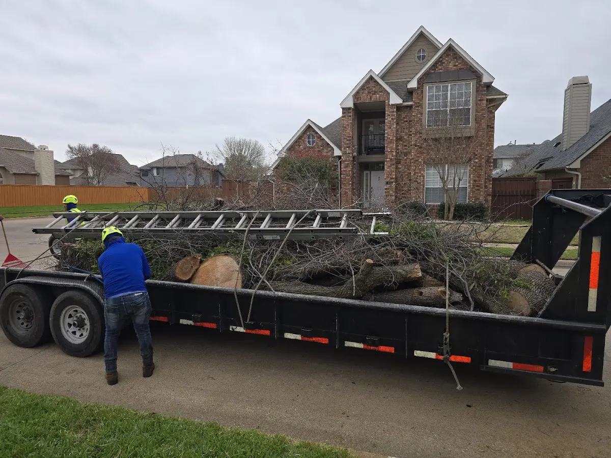 Expert Tree Pest Control with proper safety equipment in Hindman